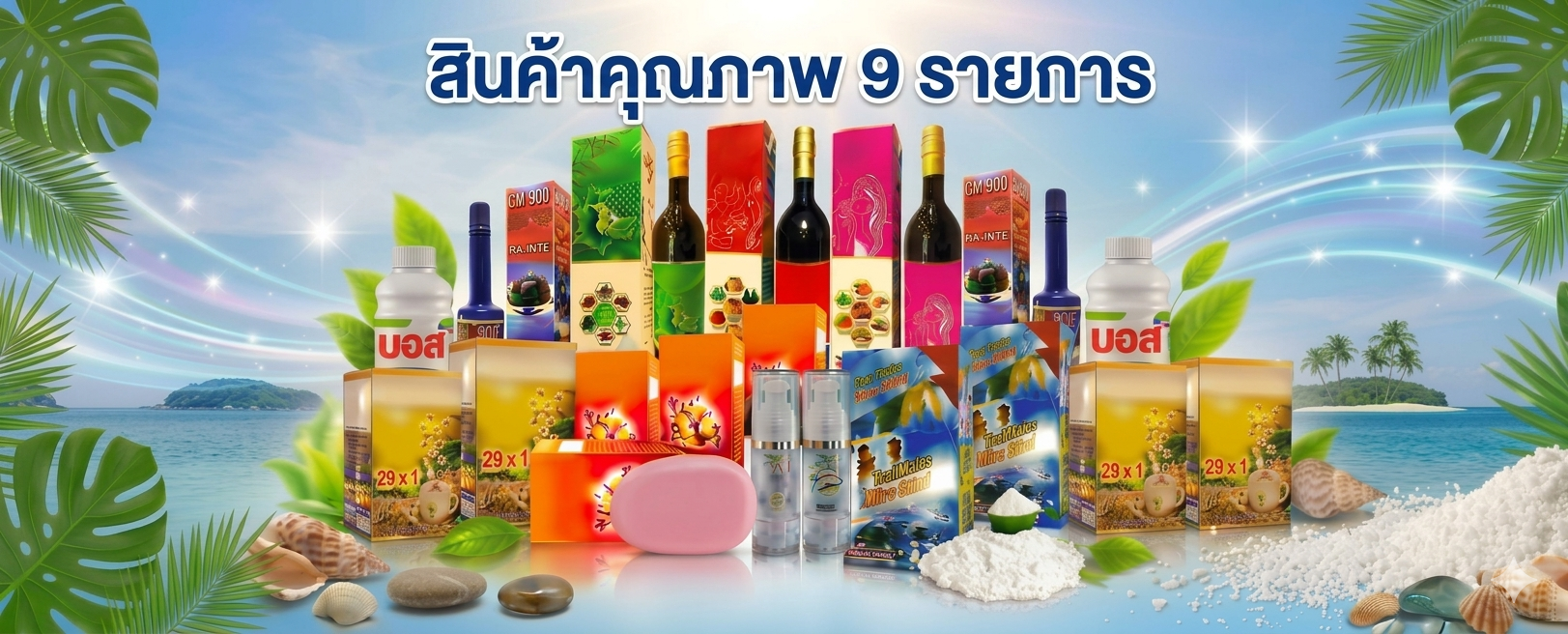 รูปที่ 1